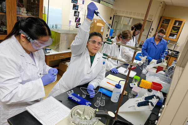 Students in microbiology lab