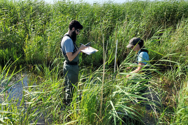 Two students taking data in field