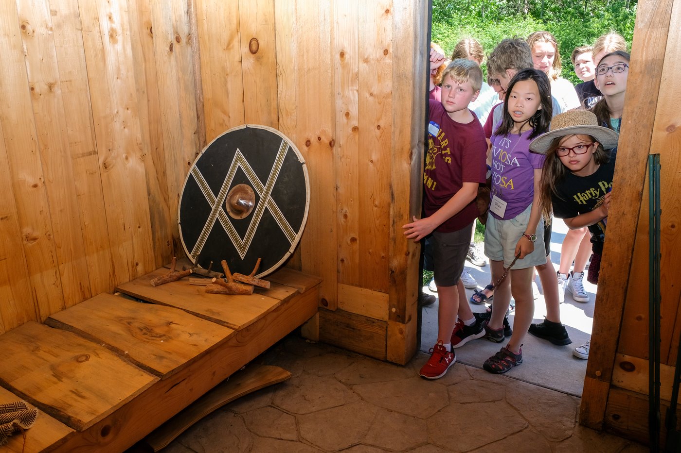 Wizards looking at Viking House