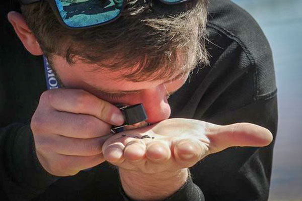 Student using magnifier to study sediment