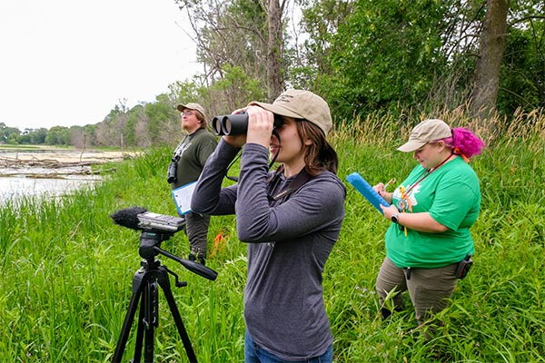 From left to right, Josh Dietzler, Haley Spargur and Brenna Nicholson from the Cofrin Center for Biodiversity conduct bird and frog surveys during the biodiversity research for the Great Lakes Coastal Wetland Monitoring Program (CWMP) at the Point au Sable coastal wetland on the east shore of the Bay of Green Bay on July 12, 2022.