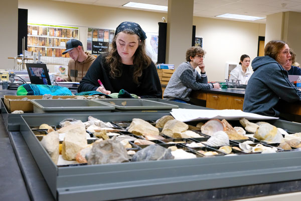 Students studying in lab