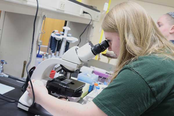 Female student using microscope