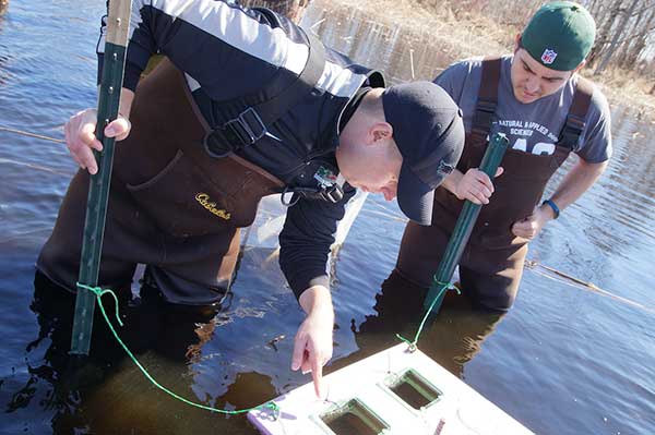 Students learning about fish.