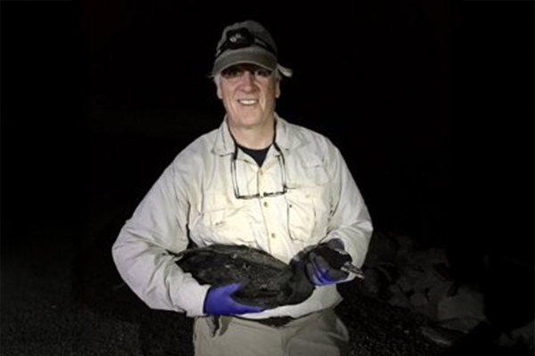 Man holding a Double-crested Cormorant