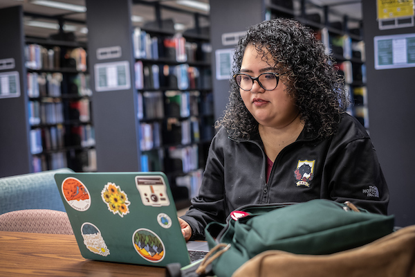 student working on laptop