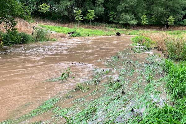 Flowing river at UWGB Aboretum