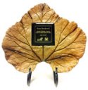 Caretaker award