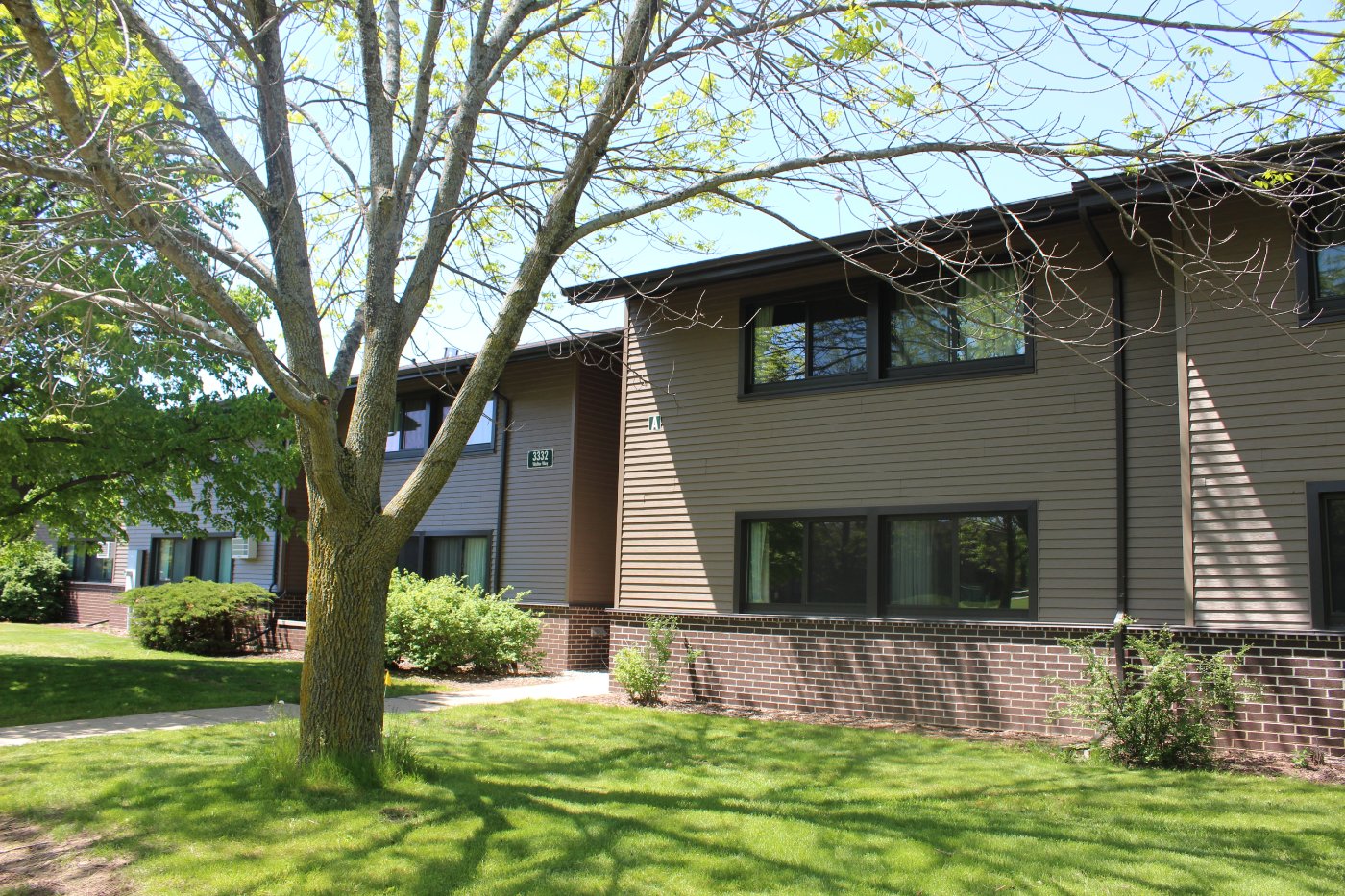 Exterior of a Housing building in summer with trees and plants blooming