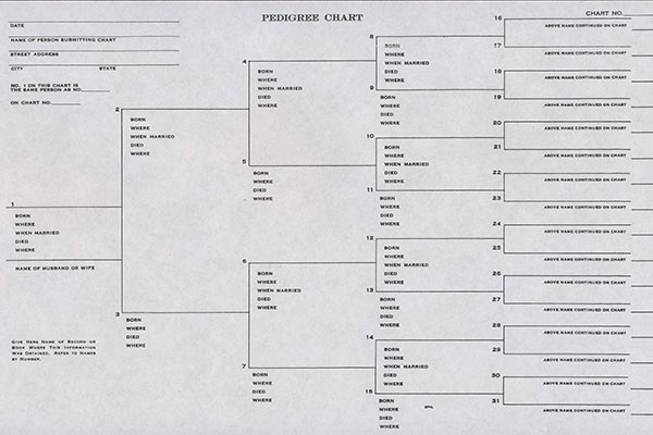 Pedigree Chart