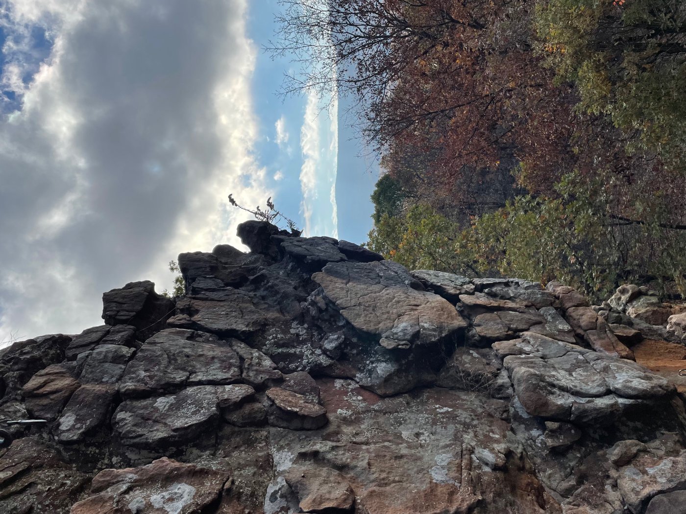 Photo of a rock-climber's view from the side of a cliff, looking down at a forest.