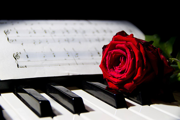 sheet music and rose on piano keyboard