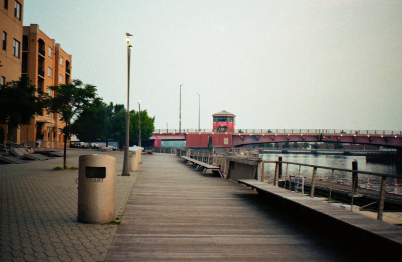 Photo of a boardwalk with a seagull.
