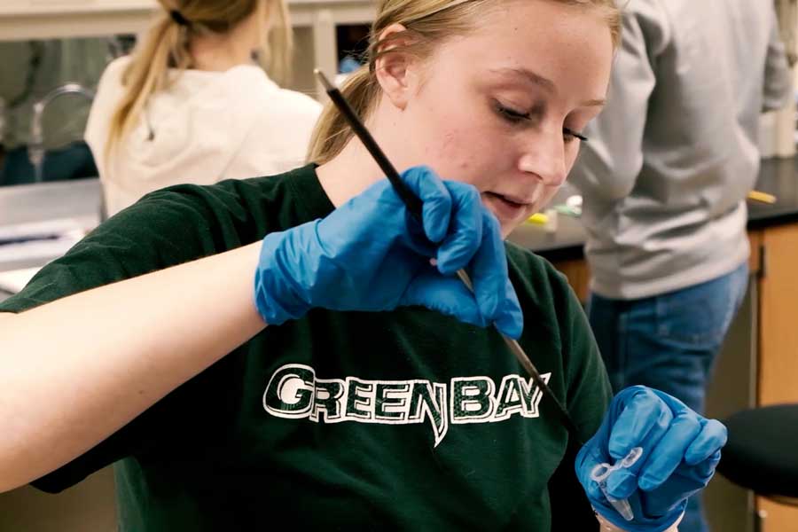 Female student in Green Bay t-shirt works in lab