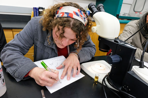 Student logging information next to microscope