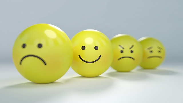 Emotion Regulation Skills