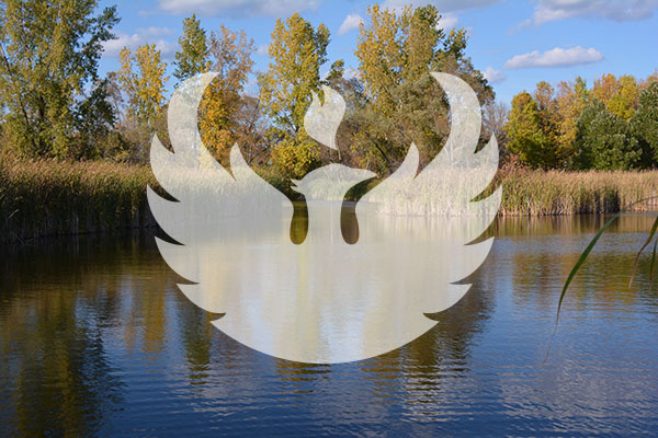 Phoenix Logo superimposed over pond