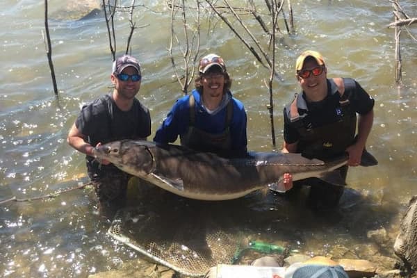 Students stand in water while holding large fish