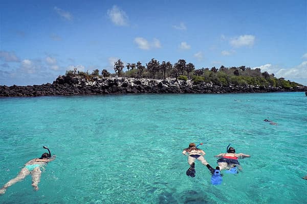 Students swim in the ocean while studying abroad in the Galapagos