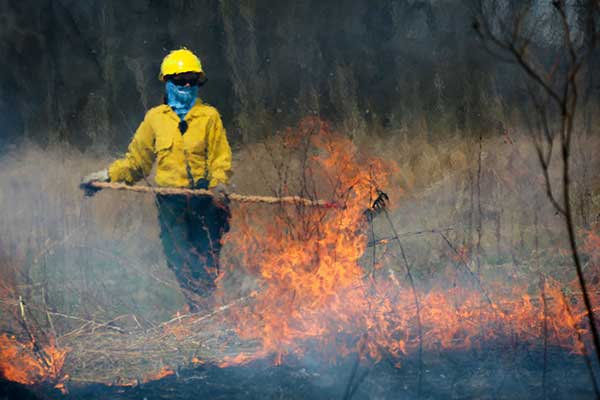 Student participates in a controlled burn of the prairie.
