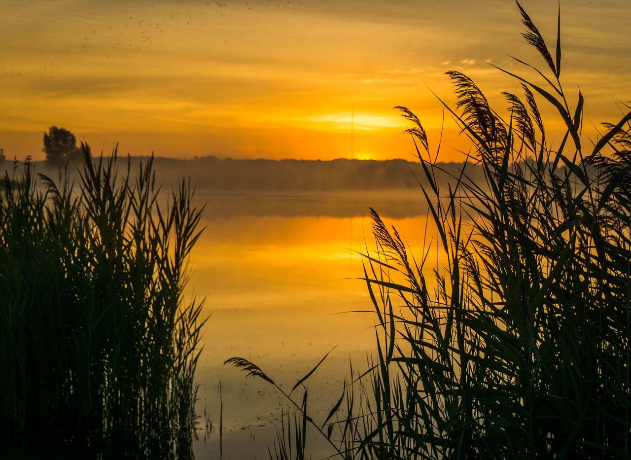 Dialectical Behavior Therapy (DBT)