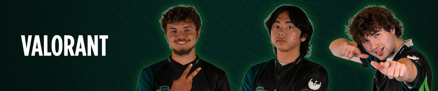 Valorant banner image