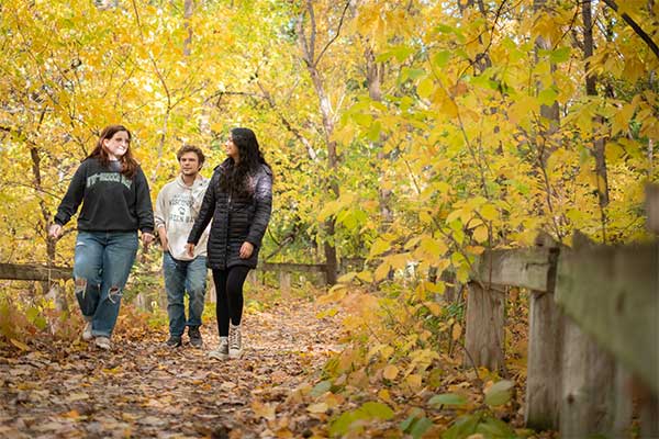 Students walking on an arboretum trail surrounded by autumn foliage.