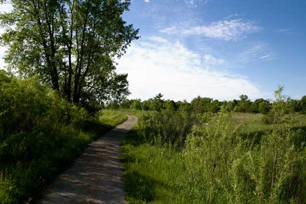 Walking trail through arboretum on UWGB Campus