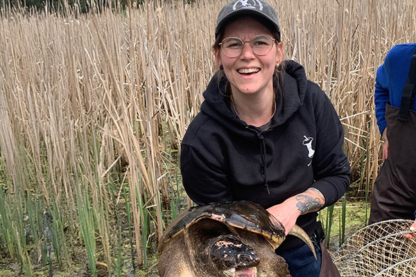 Sarah Baughman standing in wetland reeds, holding a large snapping turtle