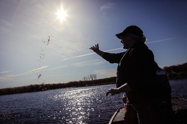 UWGB Master's in Sustainable Management wild rice planting restoration project