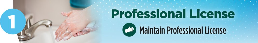 Professional License | Maintain Professional License