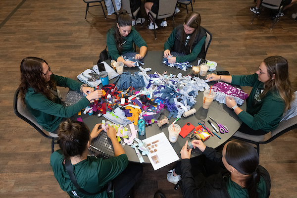 Students make cat toys for local shelter