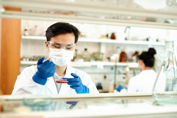 Lab technician placing liquid subtance into petri dish