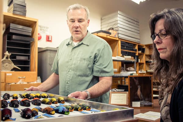 Professors examine preserved bird specimens at Richter Natural History Museum