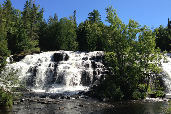 Waterfall and trees