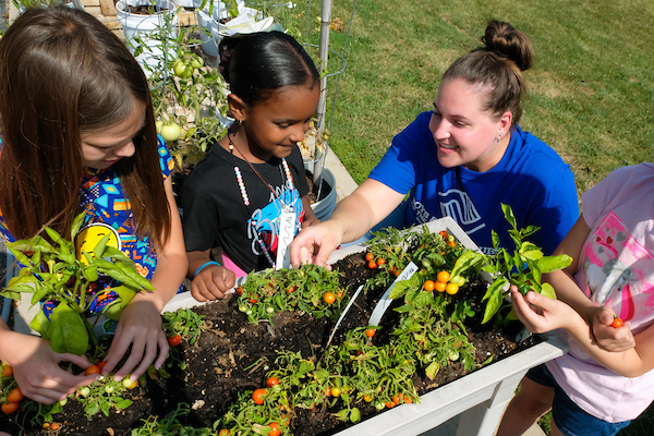 Intern gardens with The Boys and Girls Club of Green Bay