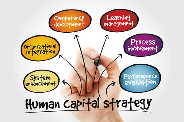 Conceptual photo of Human Capital diagram