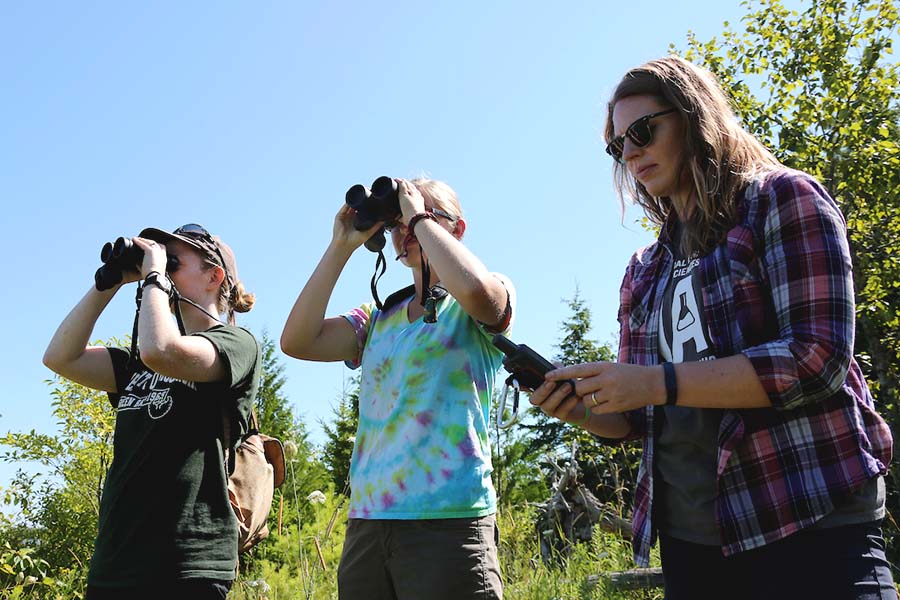 Three researchers in field