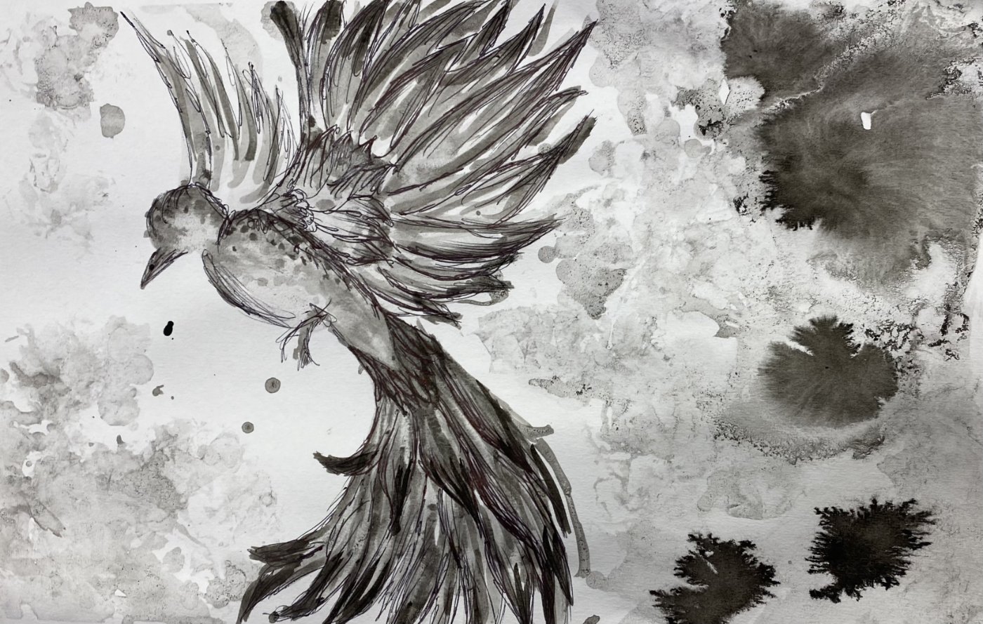 Black and white illustration of a bird in mid-flight