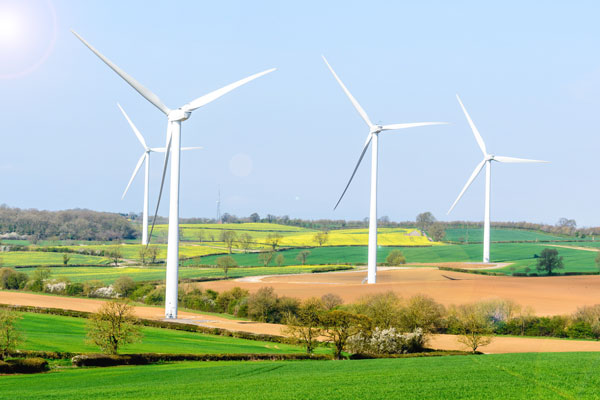 Wind turbines in field