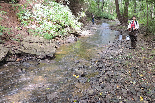 Researchers collecting data near small stream