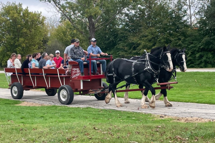Families enjoy a horse-drawn wagon ride