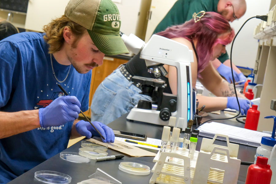 Student examining petri dish