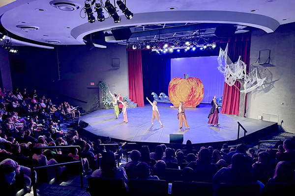 Theatrical performance on a stage with a full audience