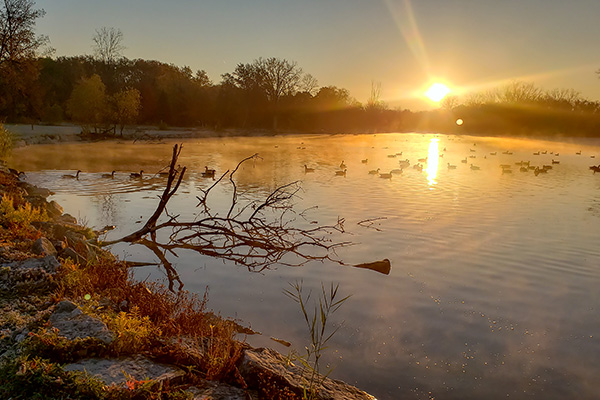 Sunrise with ducks at Wildlife Scanctuary
