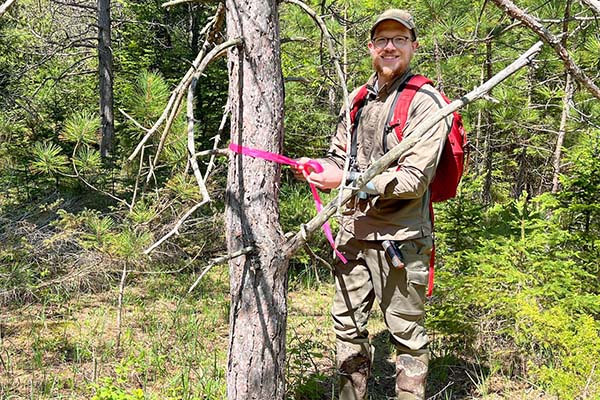 Tony Klingert, marking a tree with a hot pink tape