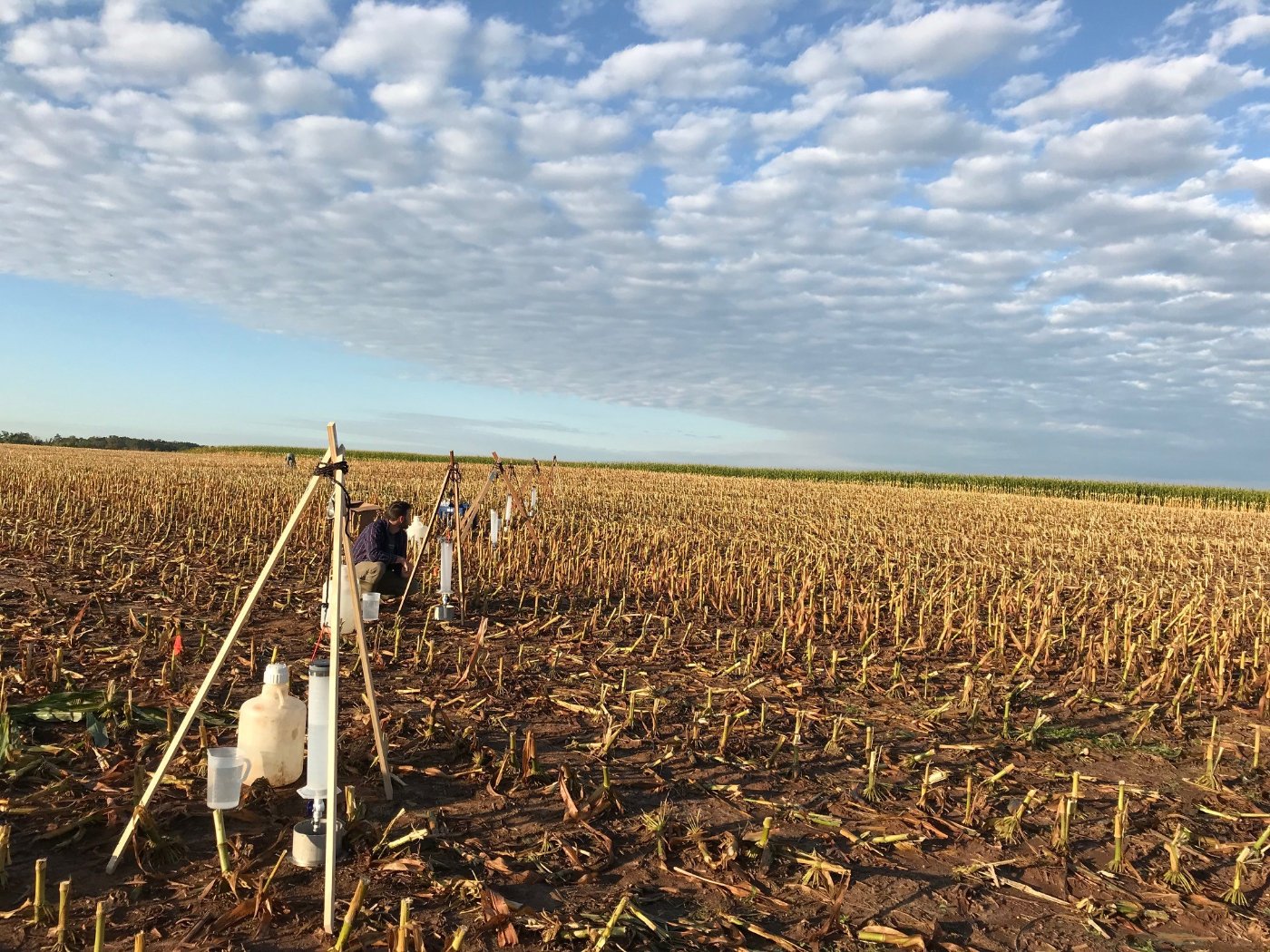 Field testing