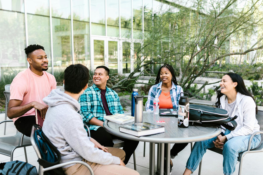 Students studying outside