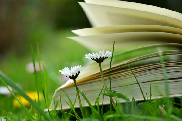 Open book next to two flowers