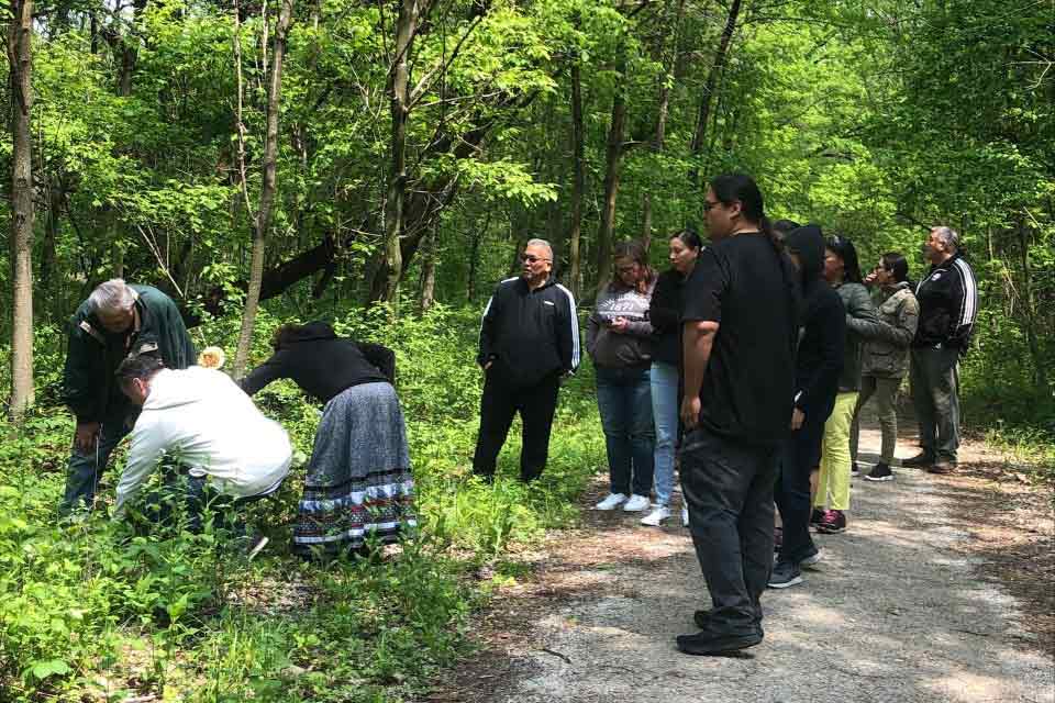 Indigenous students go on plant walk.